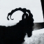 Eliška Zonygová's avatar